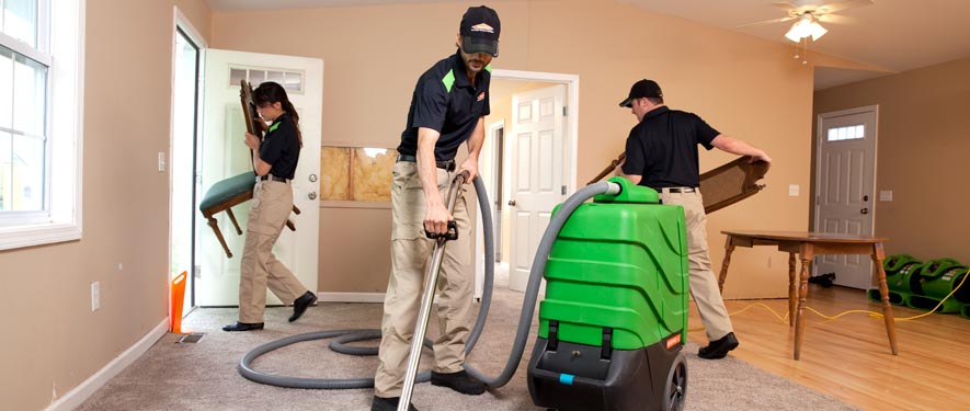 Springfield, VA cleaning services